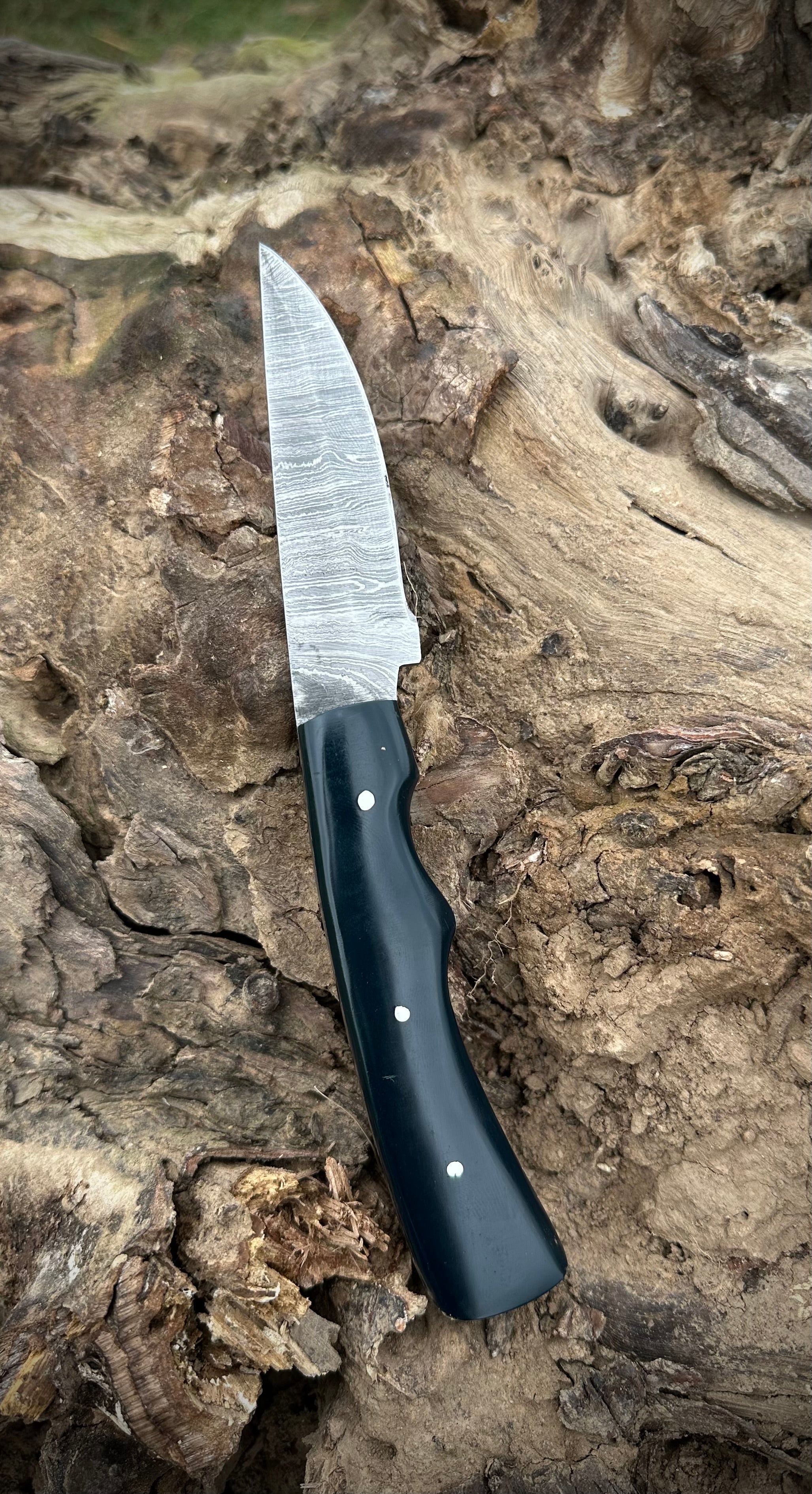 Exquisite 512-Layer Damascus Steel Skinner Knife with Premium Leather Sheath